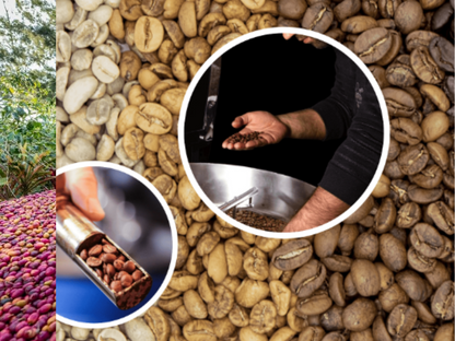 Kummul Y Grade Small Holder Coffee