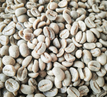 Kummul 'A' Specialty Green Coffee Beans