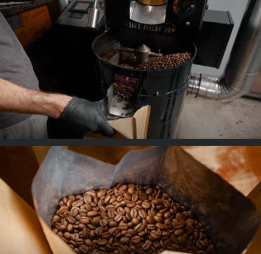Kummul Y Grade Small Holder Coffee